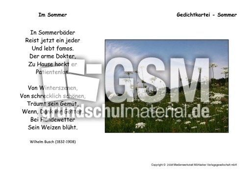 Im-Sommer-Busch.pdf